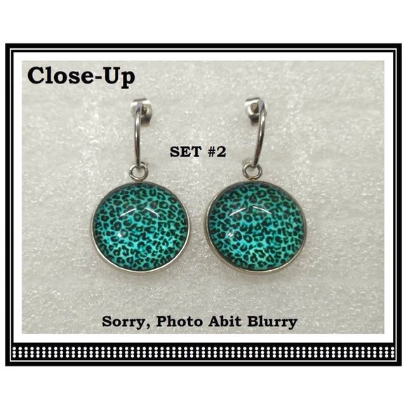 5/$20 Animal Print Cheetah Print Interchangeable Charm Earrings-5 Pairs in Set - Picture 4 of 7